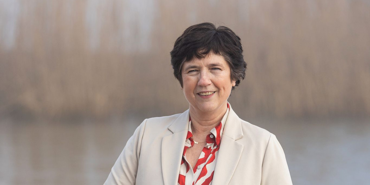 SGP Goeree-Overflakkee tweet media