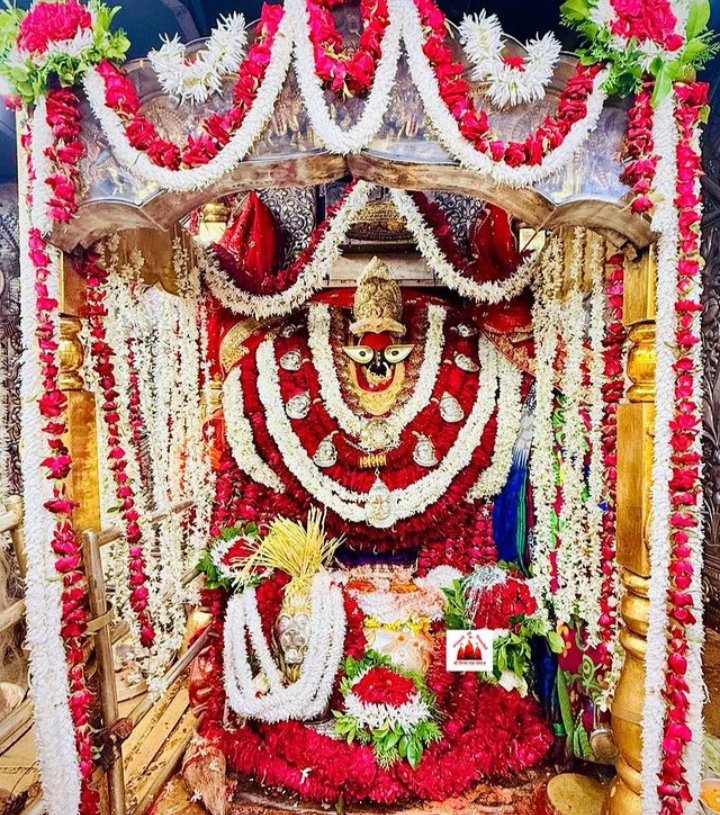 #VivianDsena #KaranveerMehra #AvinashMishra #RajatDalal #ChumaDarang #ChumVeer #ShilpaShirodkar #ShrutikaArjun #ChahatPandey𓃵