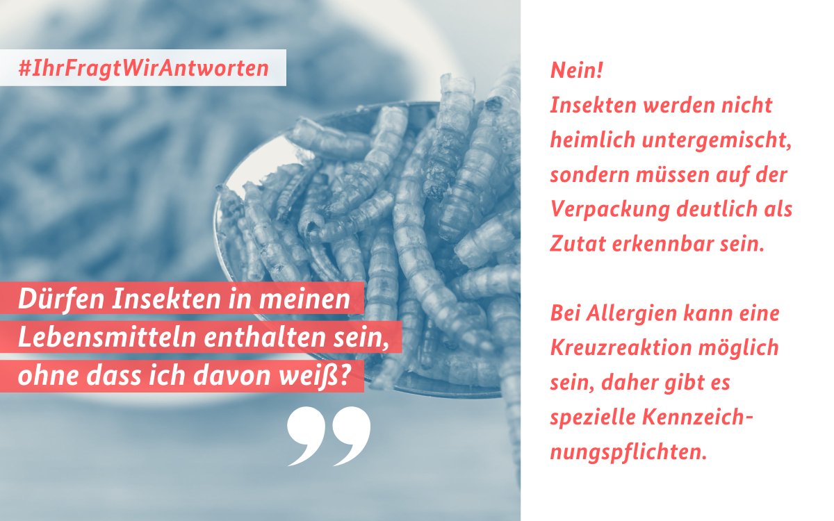 🐛 UV-behandeltes Pulver aus ganzen Larven des gelben Mehlwurms ist seit dieser Woche von der EU als neuartiges Lebensmittel zugelassen worden. Bei Lebensmitteln, die Insekten enthalten, muss in der Zutatenliste auf dem Etikett stehen, um welche Insektenart es sich handelt.