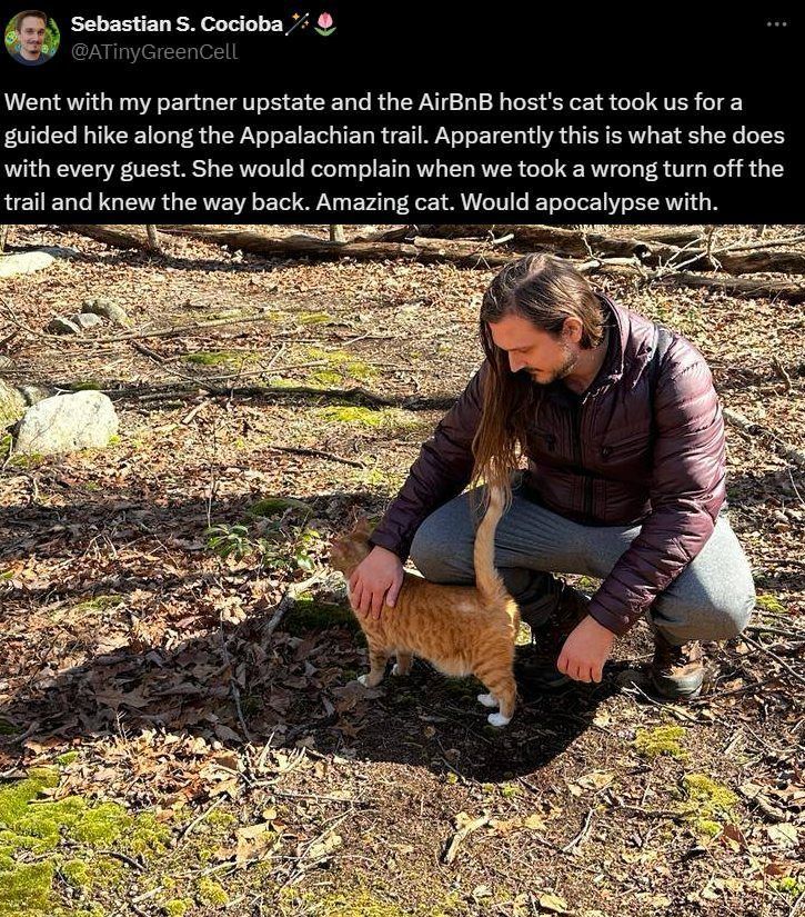 CatWorkers's tweet photo. Tour guide. https://t.co/bbUDiAtGq1
