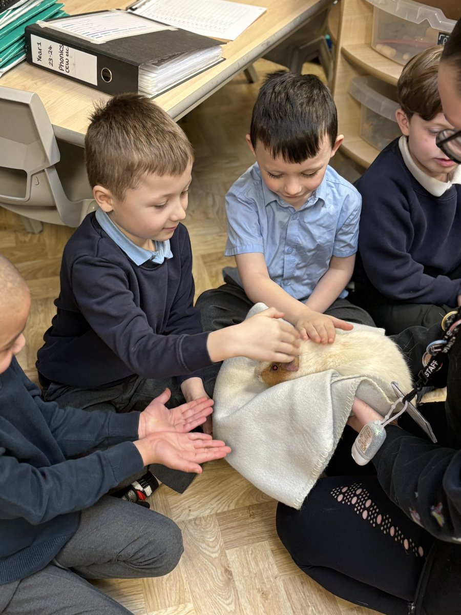 sss_year1's tweet photo. Today we had a visit from Little Zoo to You and we learnt SO much about the animals 🐍🐌🐢 https://t.co/VrLIXuLlaf