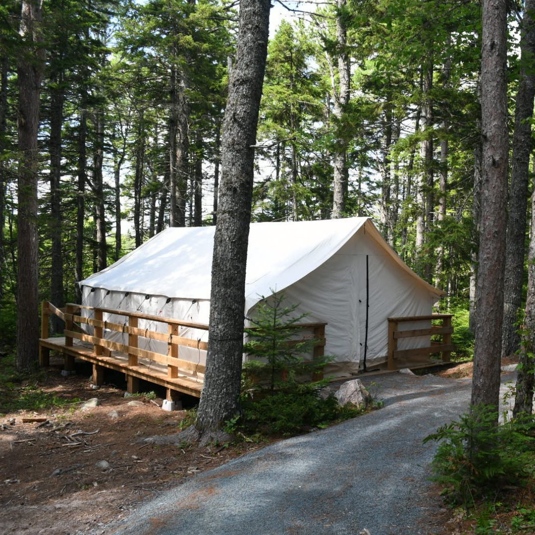 Brigadoon's tweet image. Check out our upgraded campsite—thanks to our dear friends, Manfred Gangl &amp;amp; Alison DeLory! 🏕️✨ Their generosity helped create a safe, dry, and accessible space for our campers to enjoy. It takes a village, and we’re so grateful you’re part of ours! ❤️ #CampMagic