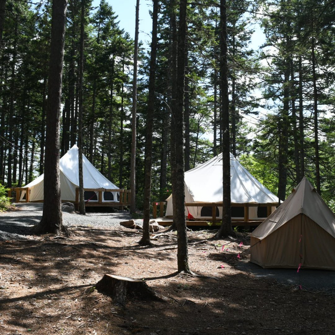 Brigadoon's tweet image. Check out our upgraded campsite—thanks to our dear friends, Manfred Gangl &amp;amp; Alison DeLory! 🏕️✨ Their generosity helped create a safe, dry, and accessible space for our campers to enjoy. It takes a village, and we’re so grateful you’re part of ours! ❤️ #CampMagic