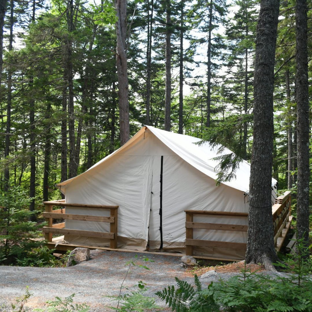 Brigadoon's tweet image. Check out our upgraded campsite—thanks to our dear friends, Manfred Gangl &amp;amp; Alison DeLory! 🏕️✨ Their generosity helped create a safe, dry, and accessible space for our campers to enjoy. It takes a village, and we’re so grateful you’re part of ours! ❤️ #CampMagic
