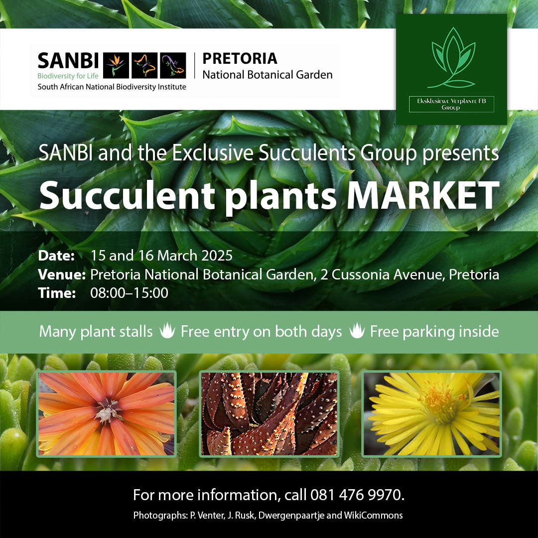 Pretoria National Botanical Garden (@pretoriagarden) on Twitter photo 