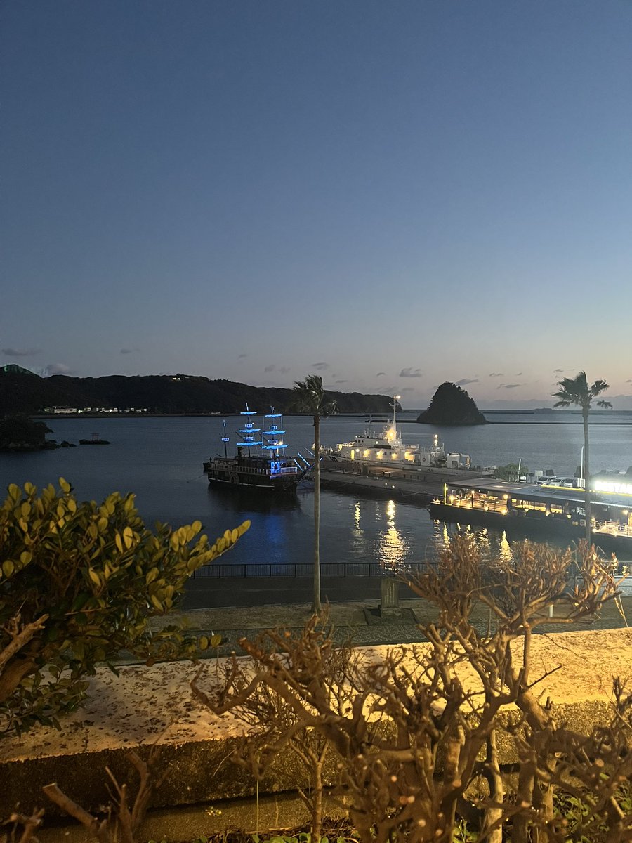 旅行に行ってきました。天気が良くて海が綺麗✨だった。
私も検索したし、気になる人もいるかと思うから開花情報を
伊豆下田の河津桜、がちがちの蕾で開花１割だったよ😂昨日の時点では、まだまだ全然だった。しかもロープウェイは14日まで修理中だそう