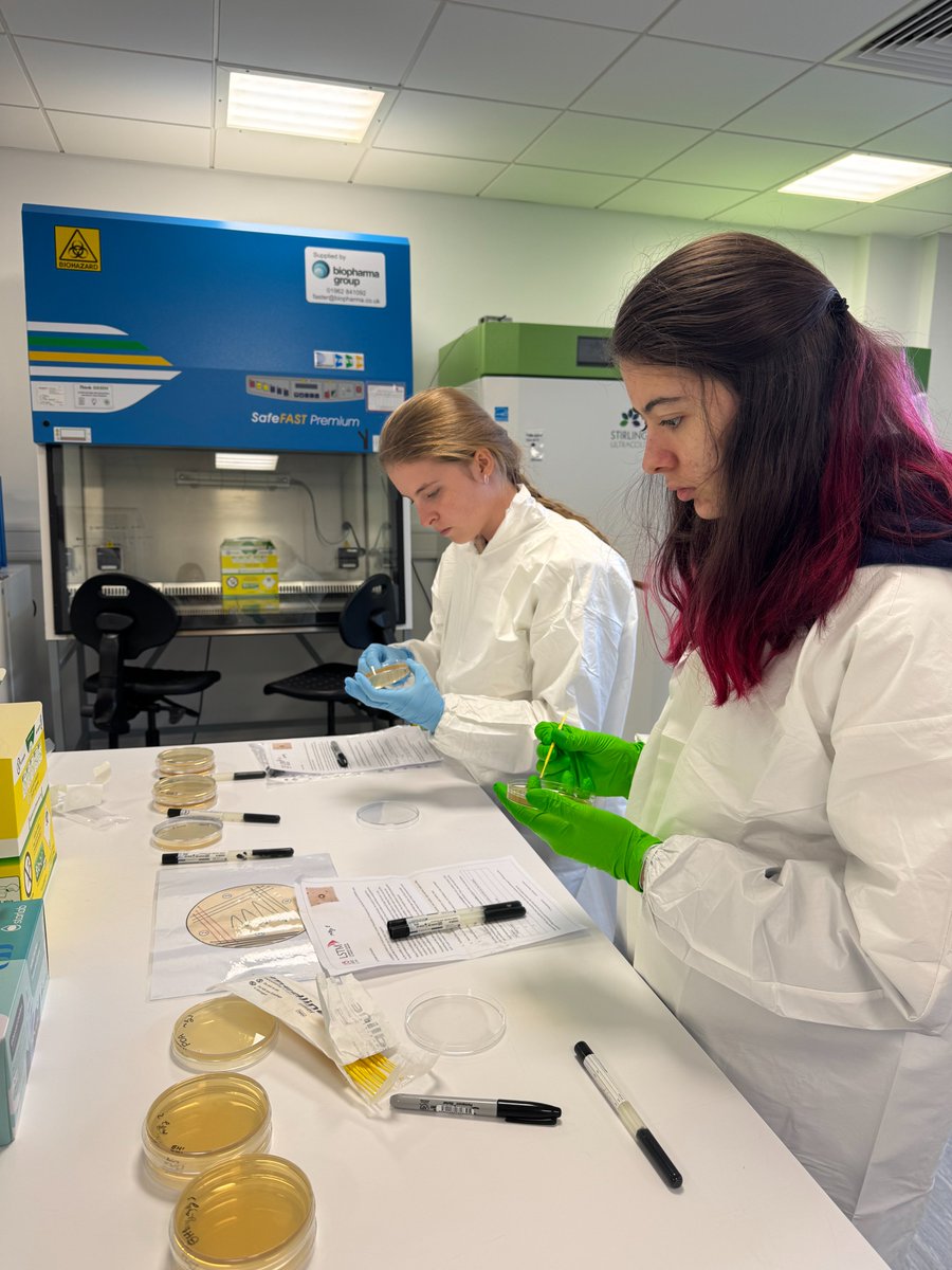 iiCON: Infection Innovation Consortium (@iiconnw) on Twitter photo 🎉 Celebrating Women & Girls in Science Day🔬
We recently welcomed students from <a href="/crontoncoll/">Cronton College</a> who participated in the #SwabandSend project helping in the search for the next antibiotic and the fight against #AMR. 💊
#IDWGS2025
#InternationalDayOfWomenAndGirlsInScience 🎉 Celebrating Women & Girls in Science Day🔬
We recently welcomed students from <a href="/crontoncoll/">Cronton College</a> who participated in the #SwabandSend project helping in the search for the next antibiotic and the fight against #AMR. 💊
#IDWGS2025
#InternationalDayOfWomenAndGirlsInScience
