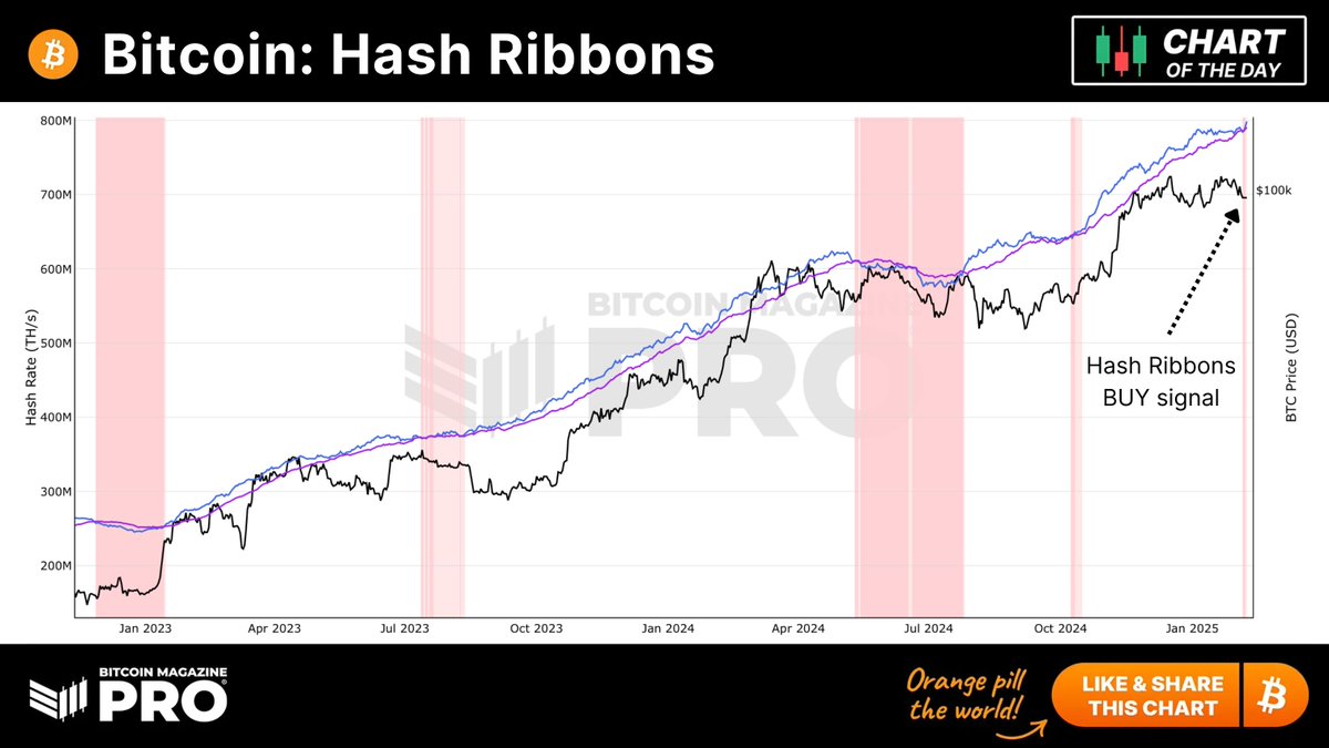 🚨 The Bitcoin Hash Ribbon indicator, historically one of the best  performing BTC signals, has just flashed BUY! 🚨 👇 Live chart is freely  available below 👇