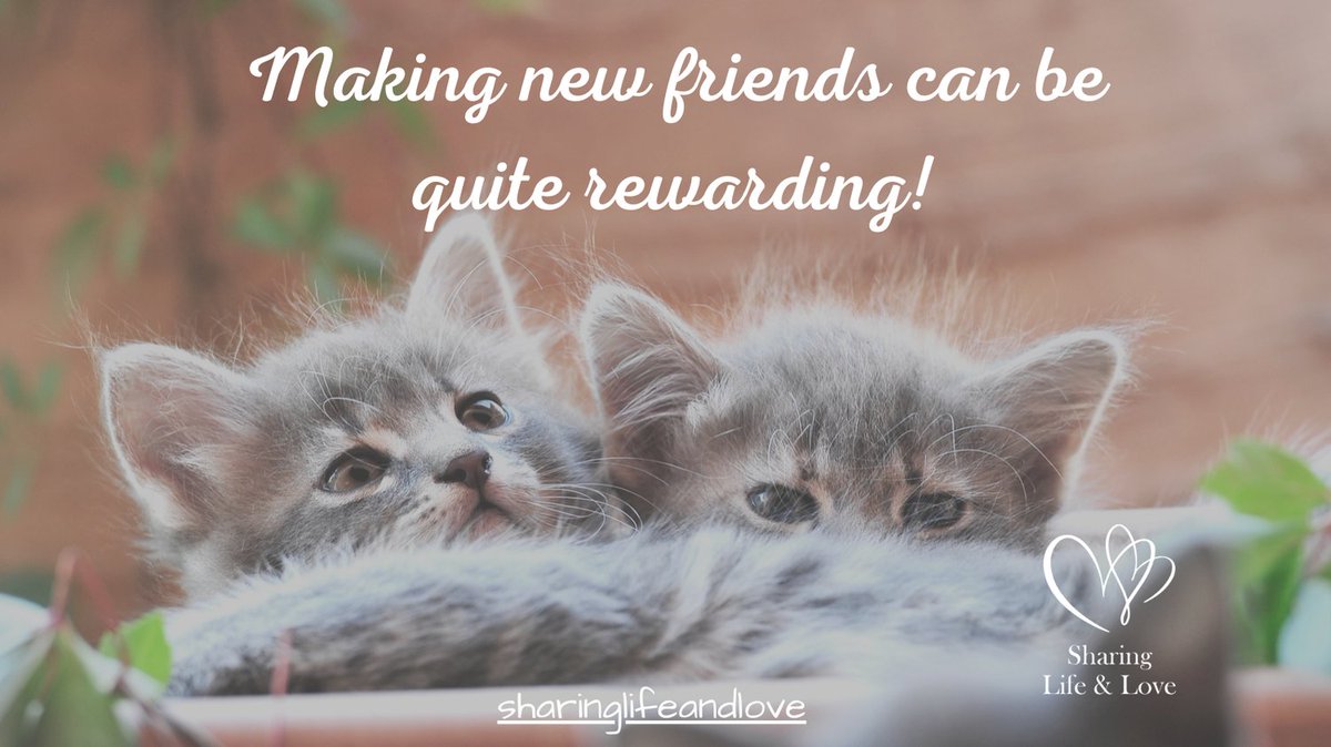 sharinglifelove's tweet image. It's National Make a Friend Day!

Will you take the challenge and make a new friend today?
sharinglifeandlove.com/blog/how-to-ma…

 #makeafriend #christian #christianlife #spirituality#spiritualfriendship #friendship #friendships #sharinglife #sharinglove #sharinglifeandlove