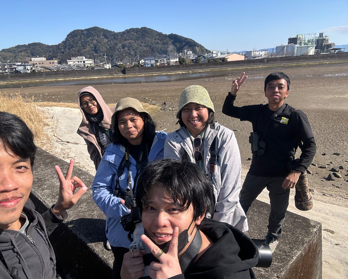 Highlight of the Day!

6 Black-faced Spoonbill at Amikake River, Kagoshima.

#Japan 2025