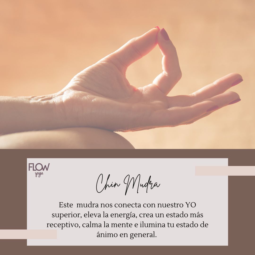 En el yoga, cada mudra tiene un propósito energético y espiritual. Chin Mudra, también conocido como el "Gesto del Conocimiento", es una poderosa herramienta para conectar con nuestra paz interior y expandir la conciencia. 🙏💫
#FlowYogaMéxico #ChinMudra #Meditación #Bienestar