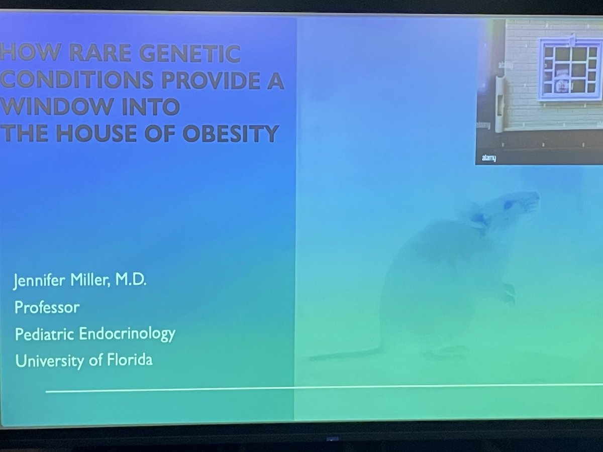 Ann Reed, M.D. (@annreedmd) on Twitter photo Welcoming Dr Jennifer Miller to speak on rare causes of pediatric obesity. <a href="/Duke_Childrens/">Duke Children's</a> Welcoming Dr Jennifer Miller to speak on rare causes of pediatric obesity. <a href="/Duke_Childrens/">Duke Children's</a>