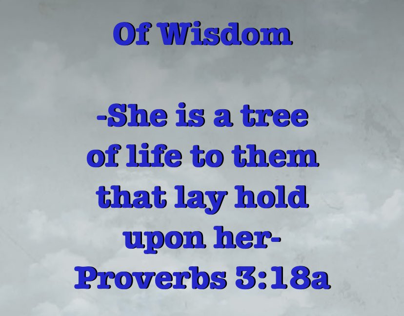ChrisannDawson's tweet photo. Pursue #Wisdom ➡️ Know #God 
➡️ being close to the Source of refreshing and vibrancy! 🌺🌺🌺
🔹🔹🔹🔹🔹🔹🔹🔹🔹🔹🔹🔹 https://t.co/PG0qhG9uPo