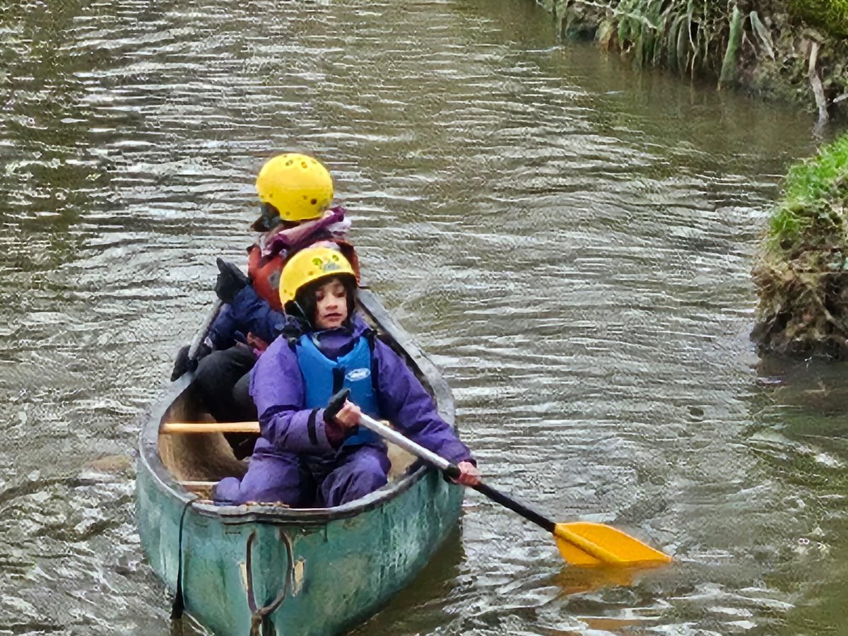 Mice having a great time in the river!