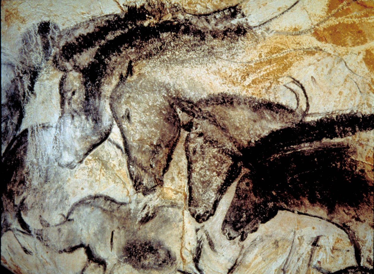 36,000 years ago, humans painted mammoths, cave lions, and woolly rhinos in a cave in France.

The Chauvet Cave paintings aren't just cave art.

They are a time capsule of Ice Age artistic masters.

Here's why: 🧵