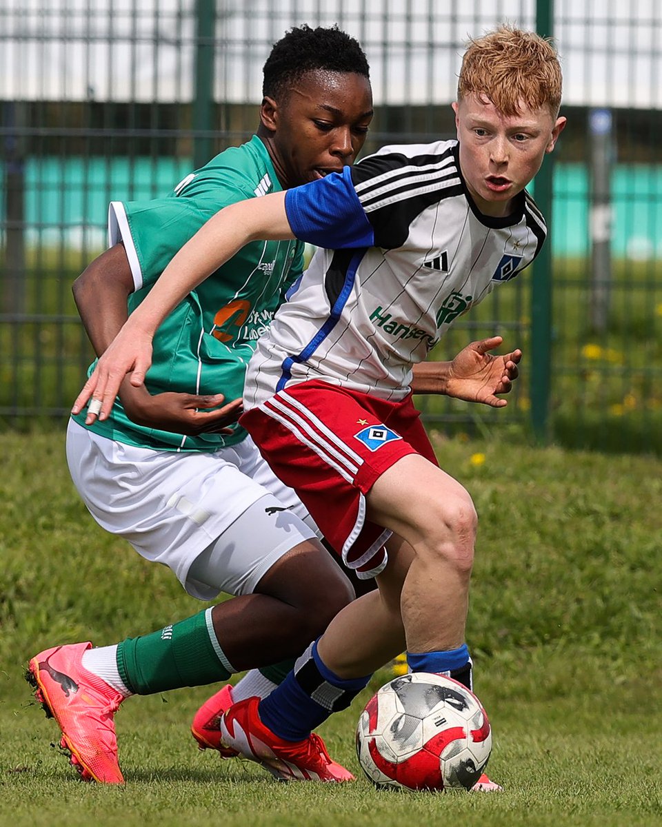 HSVYoungTalents's tweet photo. Moin, Noah #Adigo! 🙌 

Zur Saison 2⃣0⃣2⃣5⃣/2⃣6⃣ verpflichten wir den torgefährlichen Offensivspieler, der bereits an einem DFB-Lehrgang teilgenommen hat, vom VfB Lübeck für unsere #U17.  ⚽ Wir freuen uns auf dich, Noah! 🤝

#nurderHSV #HSVYoungTalents

📸 Michael Schwarz (2) https://t.co/53h3PKGYtw