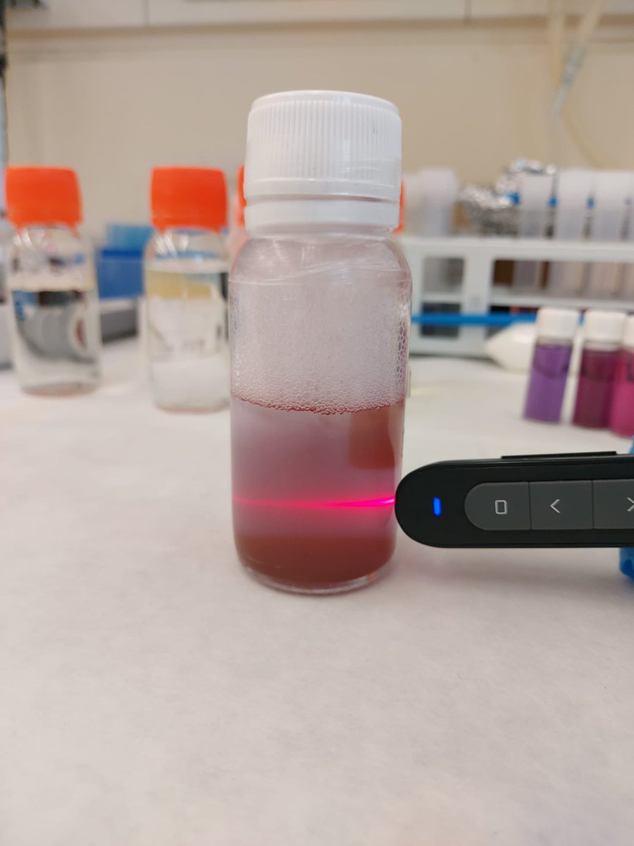 Hoxe as nosas compañeiras do FunNanoBio participaron no Día Internacional da Muller e a Nena na Ciencia 🧫👩🏽‍🔬🧪