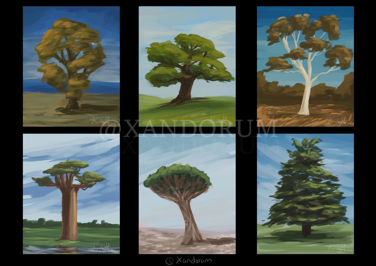 Xandorum's tweet photo. Bit of a tree study today.

#clipstudiopaint #art #artstudy #treestudy #digitalart #landscape #sketch https://t.co/g3tSuL5hRH