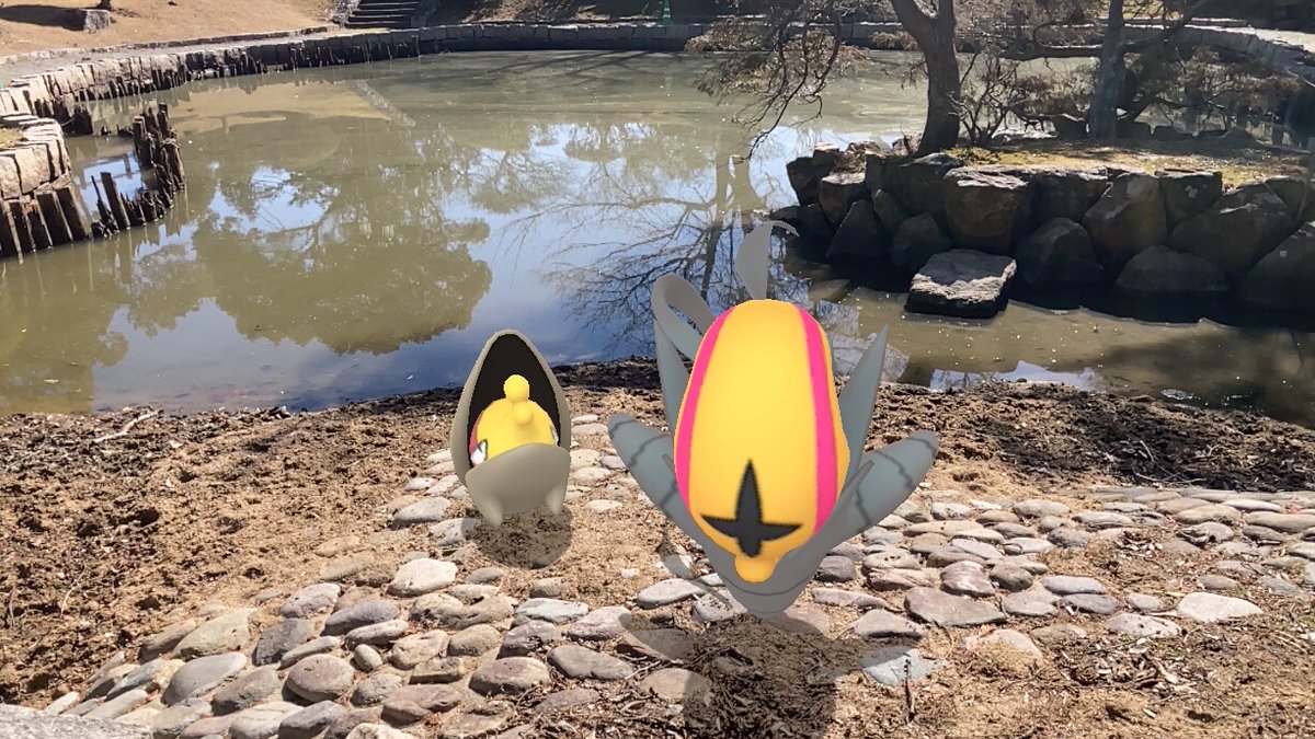 awamegupokeco8's tweet photo. #チョボマキ
#Shelmet
#アギルダー
#Accelgor
#ShinyPokémon
まったり https://t.co/V7zVr8fFh7