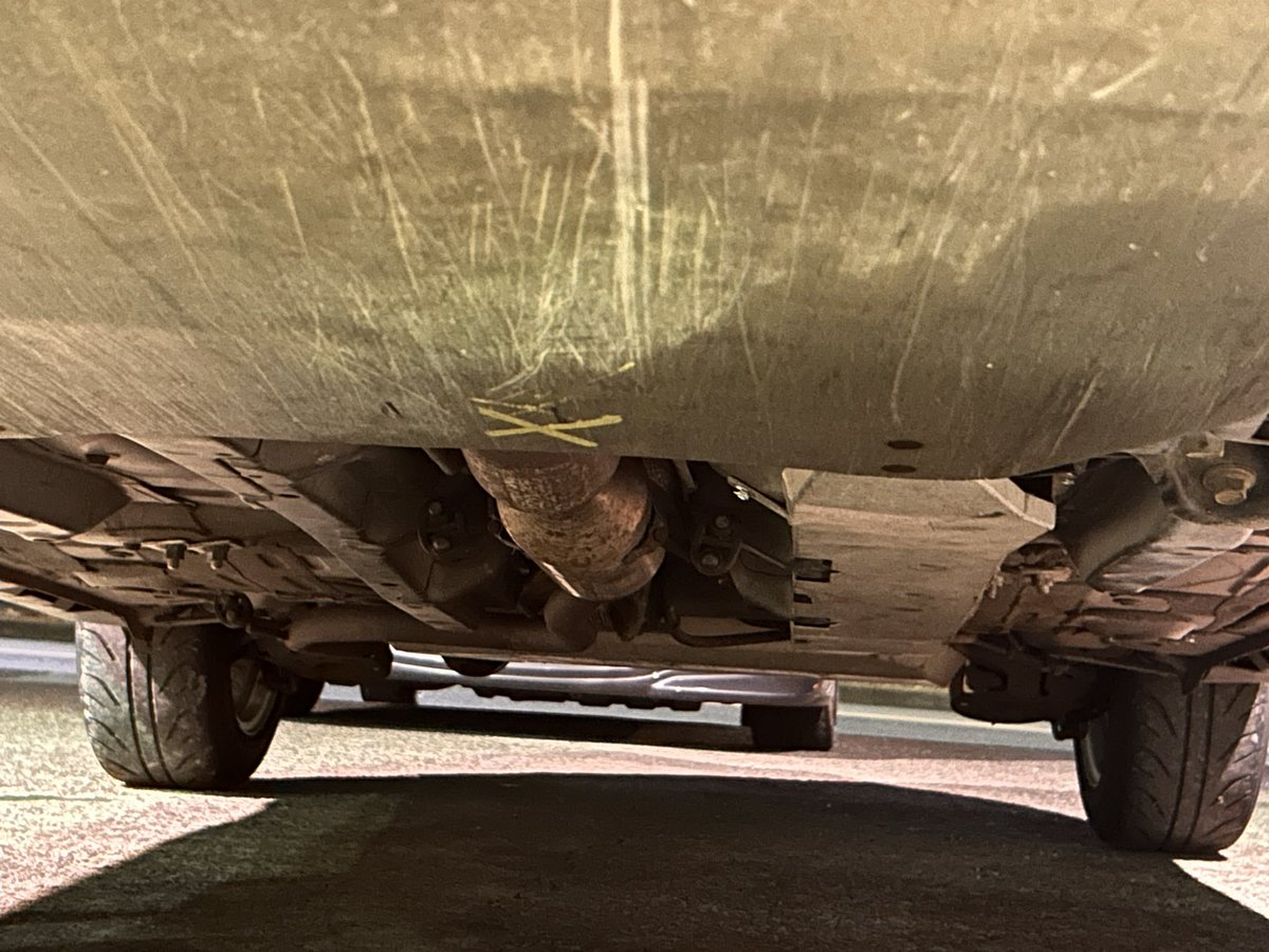 さゆ(おに) tweet media