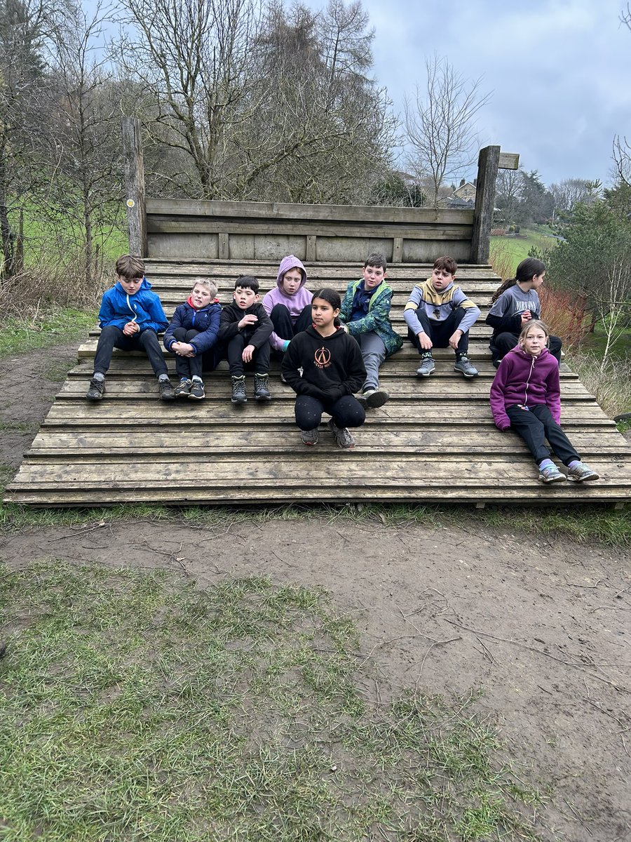 Frogs are on the assault course