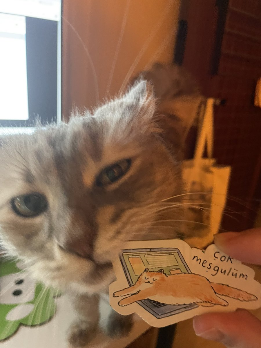 Gördüğünüz gibi