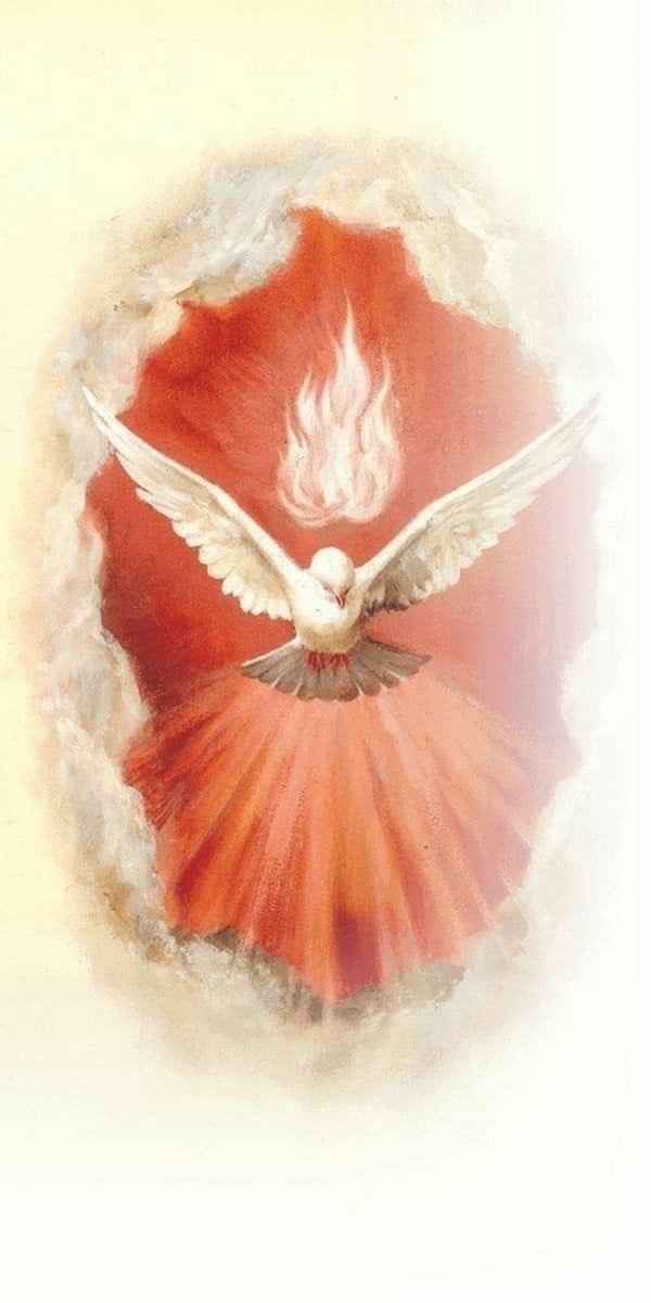 Bishop Scott McCaig tweet media