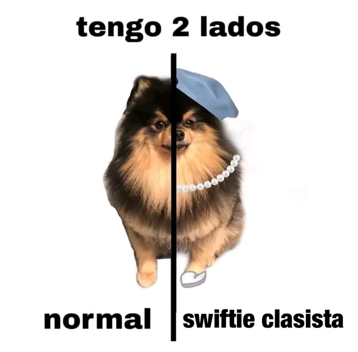El Karma Es Un Gato❤️🔥 tweet media