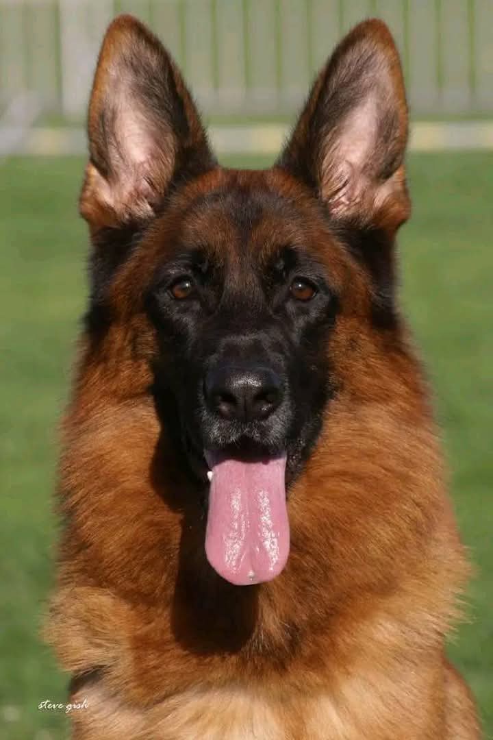 A Great photography!💓