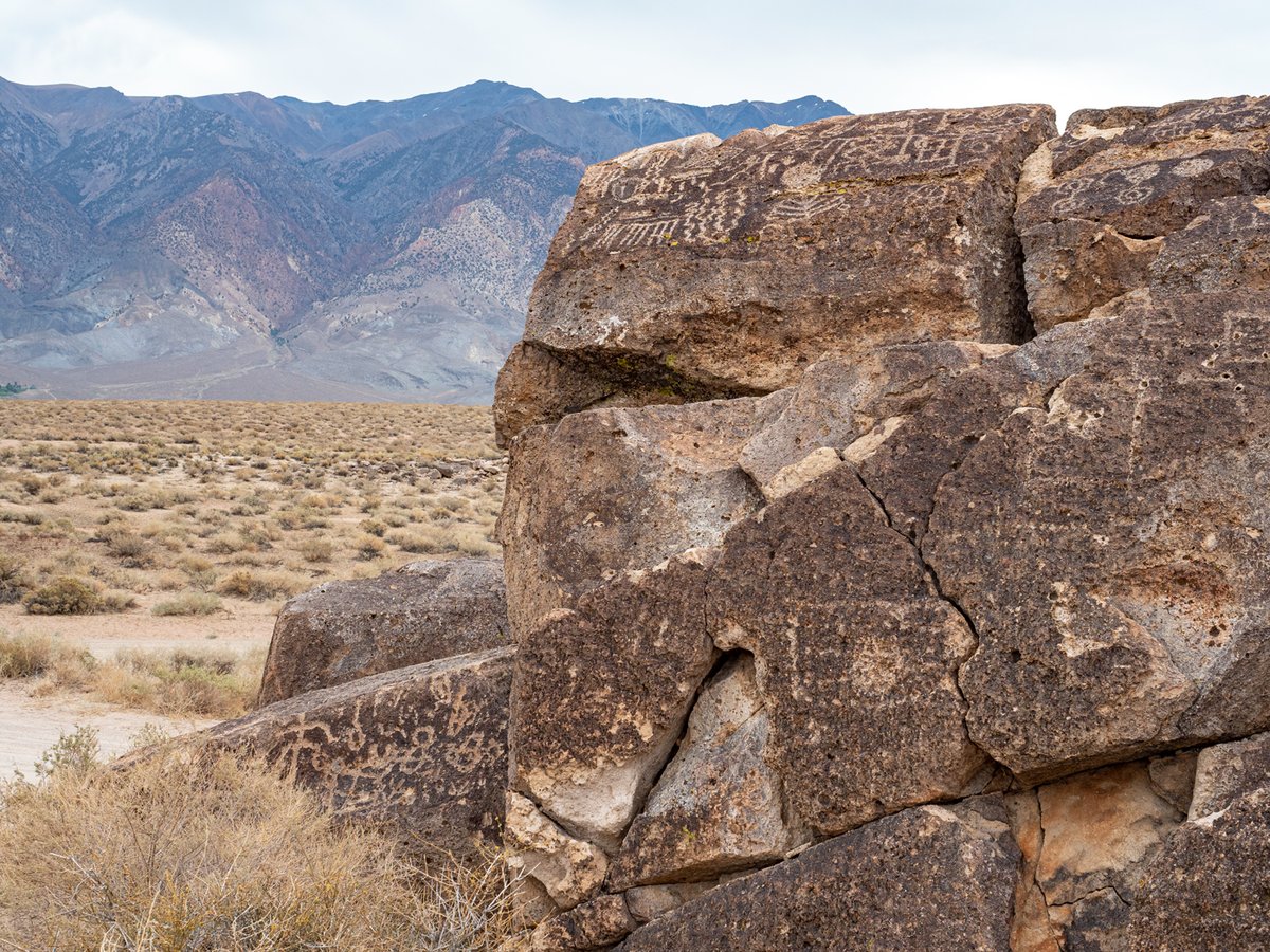cahighsierra's tweet image. #ChidagoCanyon isn't on many traveler's radar... but it should. With sweeping views of the #WhiteMountains &amp;amp; Volcanic Tablelands, you'll find lots of wonders spread out here.

👇🏼  californiahighsierra.com/trips/3-lesser…