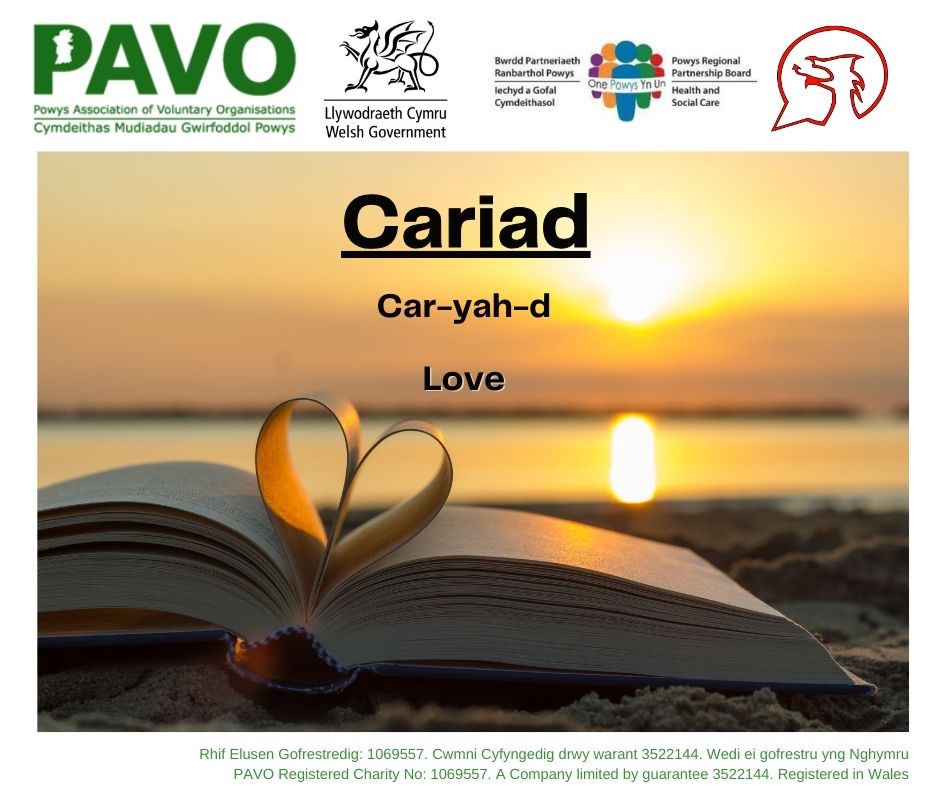 Gyda diwrnod Sant Ffolant ddydd Gwener, dyma ymadroddiad yr wythnos hon.
With Valentines day this Friday, here's this week's phrase.
#ycynnigrhagweithiol #theactiveoffer #siaradcymraeg #dysgucymraeg #cymraeg #YGymraeg #diwrnodsantffolant