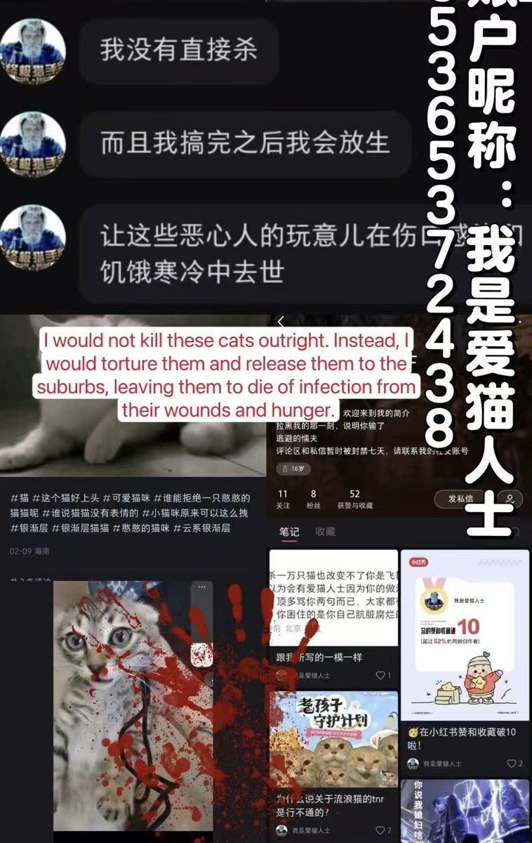 Chinese people abuse animals tweet media