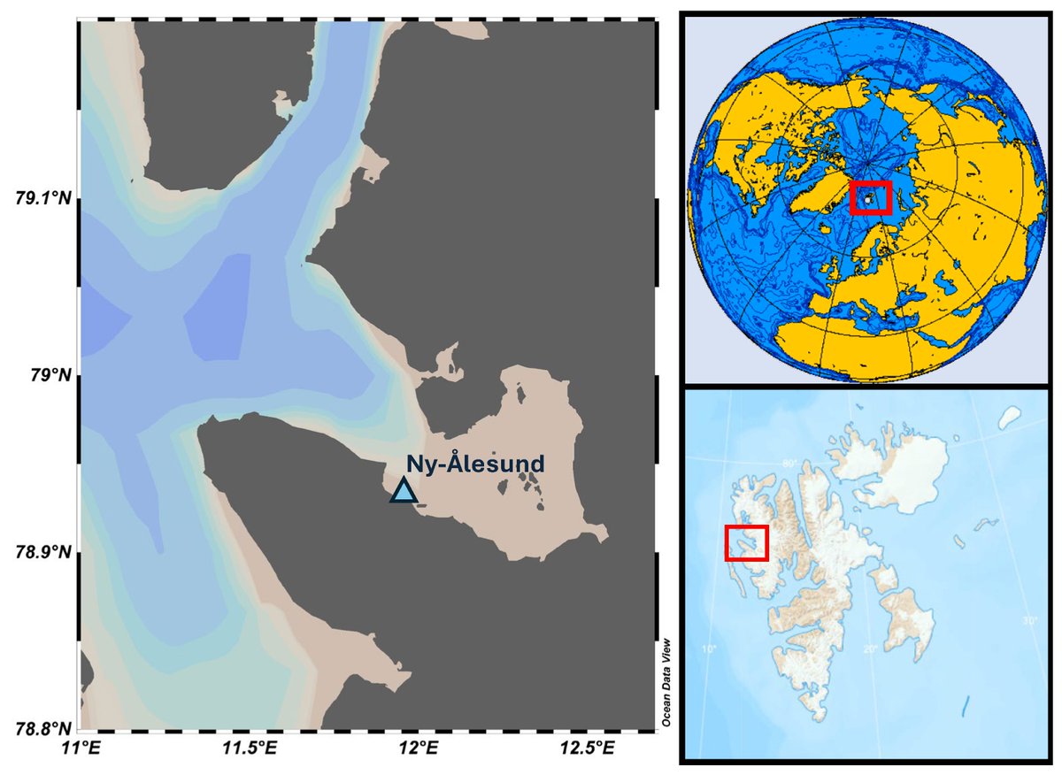 JMSE_MDPI's tweet image. 🛎️ #NewArticle

🌊Elemental Distribution in #Tissues of Shorthorn Sculpins (#Myoxocephalus scorpius) from Kongsfjorden in Svalbard

🗝️Keywords: #fish; #biomonitoring; #Arctic; heavy #metals; Ny-Ålesund; #ionomics

💻mdpi.com/3076220