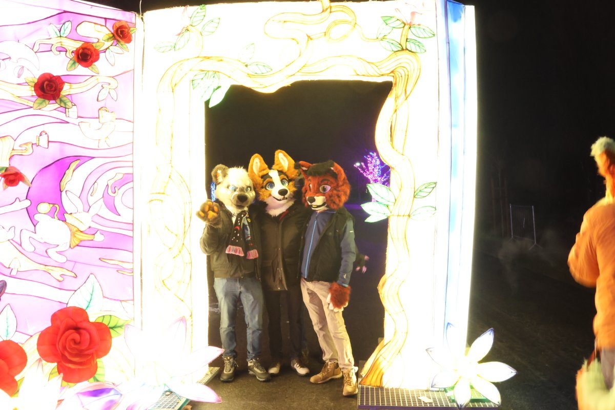 They are waiting for you to let them into your house😇

🟤: <a href="/Ryotsuke/">ǝʞпsʇoʎɹ</a> 
🟠: <a href="/Libran_Starcat/">Libran</a> 

📸: <a href="/K4AK3N_/">Kraken</a>