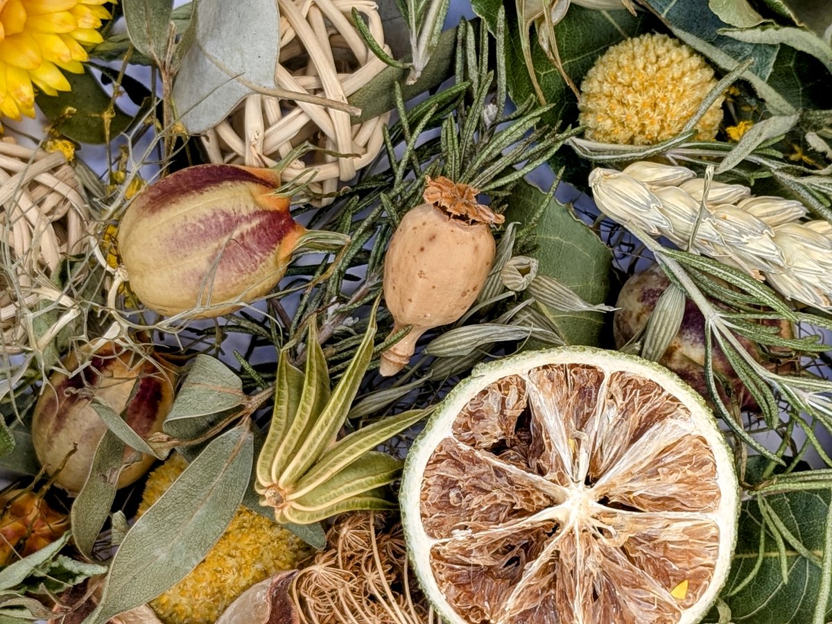 New handmade potpourri range with more to come! This one's called Sunshine Citrus and is is a zingy lemon lime fragrance.
daisyshop.co.uk/dried-flowers/…