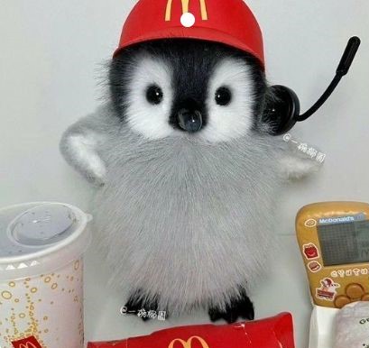 Do you want to order any additional features for
@Penguu_Intern ?