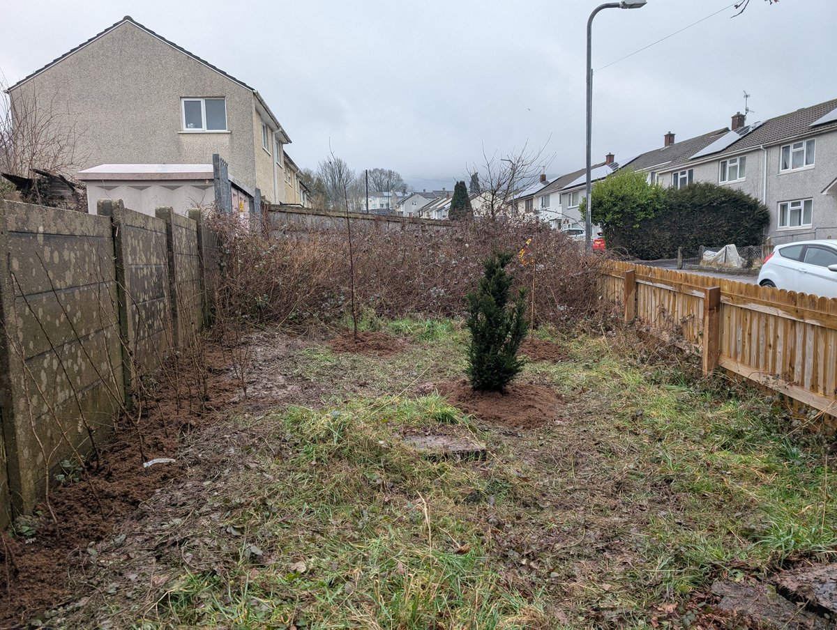 BGandTorfaenLNP tweet media