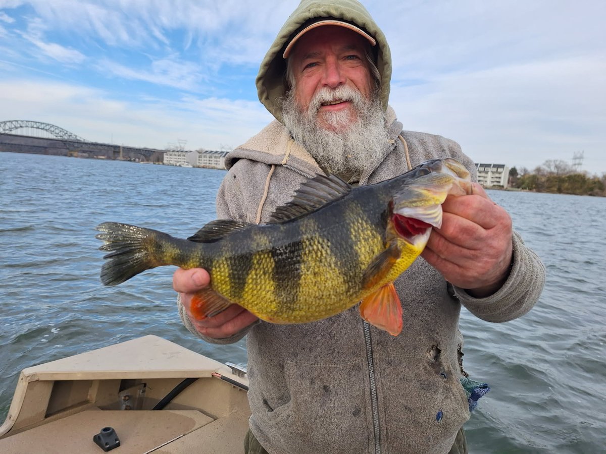 A Baltimore County angler has broken a 45-year-old state record! Thomas Dembeck Jr. caught a 2.3-pound yellow perch in the lower Susquehanna River. 
Read the full story: tinyurl.com/485m83u6