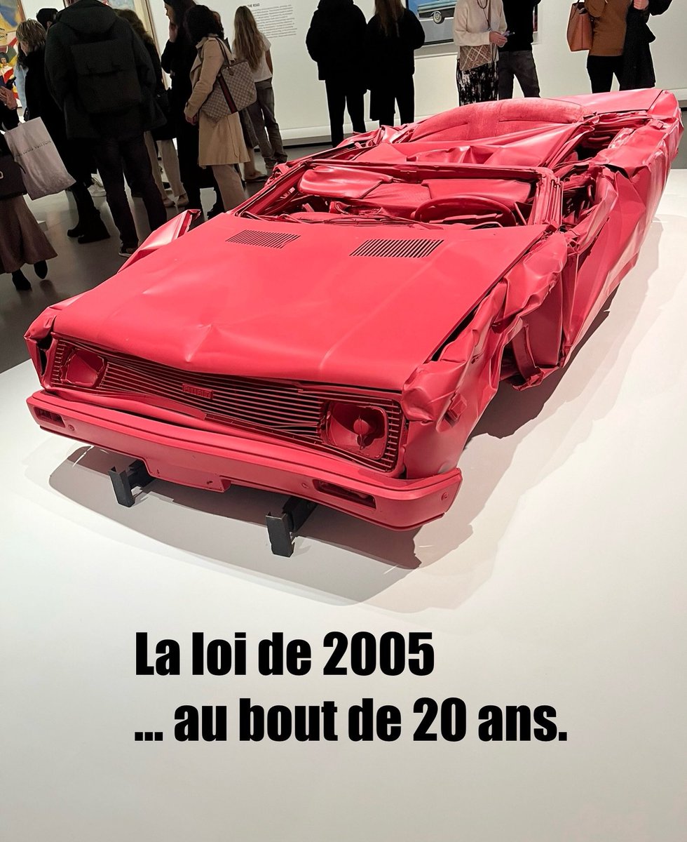 La loi de 2005 fête ses 20 ans ! #inclusion #handicaps #égalitédeschances #humour #oupas
