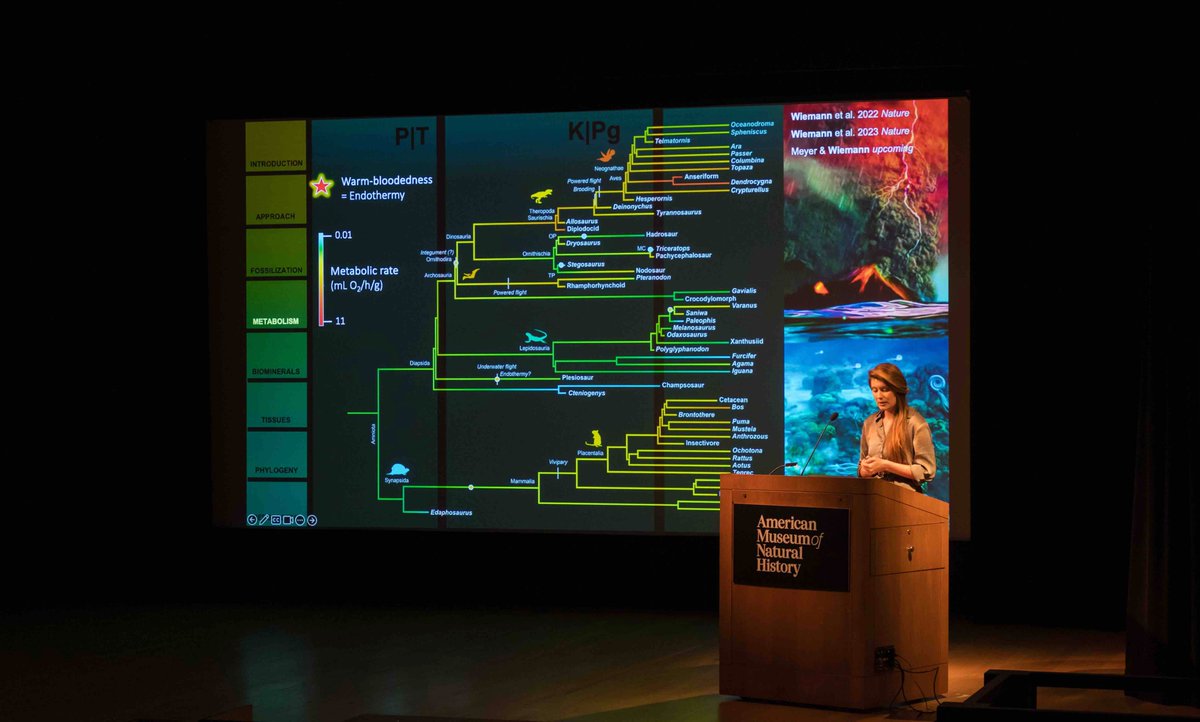 Happy #InternationalDayofWomenandGirlsinScience - from me and my lab! 🤩

The field of Molecular Paleobiology has been pioneered by women scientists - and I am so proud to be part of it and train the next generation of brilliant minds!💚