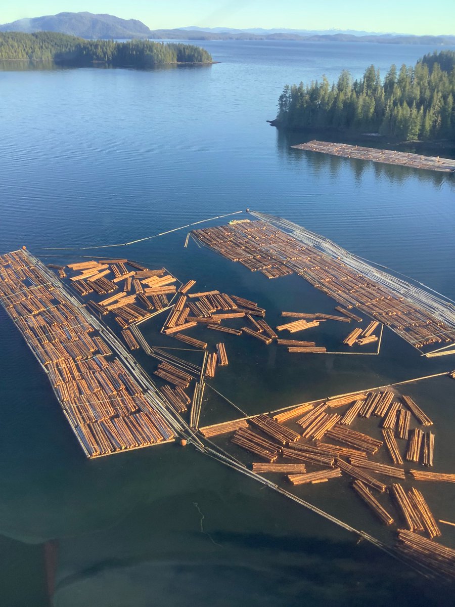 AK_Forestry's tweet image. 🌲 Alaska Timber at Work! 🌲 Log Transfer Facilities are vital to SE AK’s timber industry—where tides &amp;amp; weather impact transport. This sale, harvested by a local contractor, provides year-round jobs for Prince of Wales &amp;amp; Edna Bay residents.

#AlaskaForestry #SustainableLogging