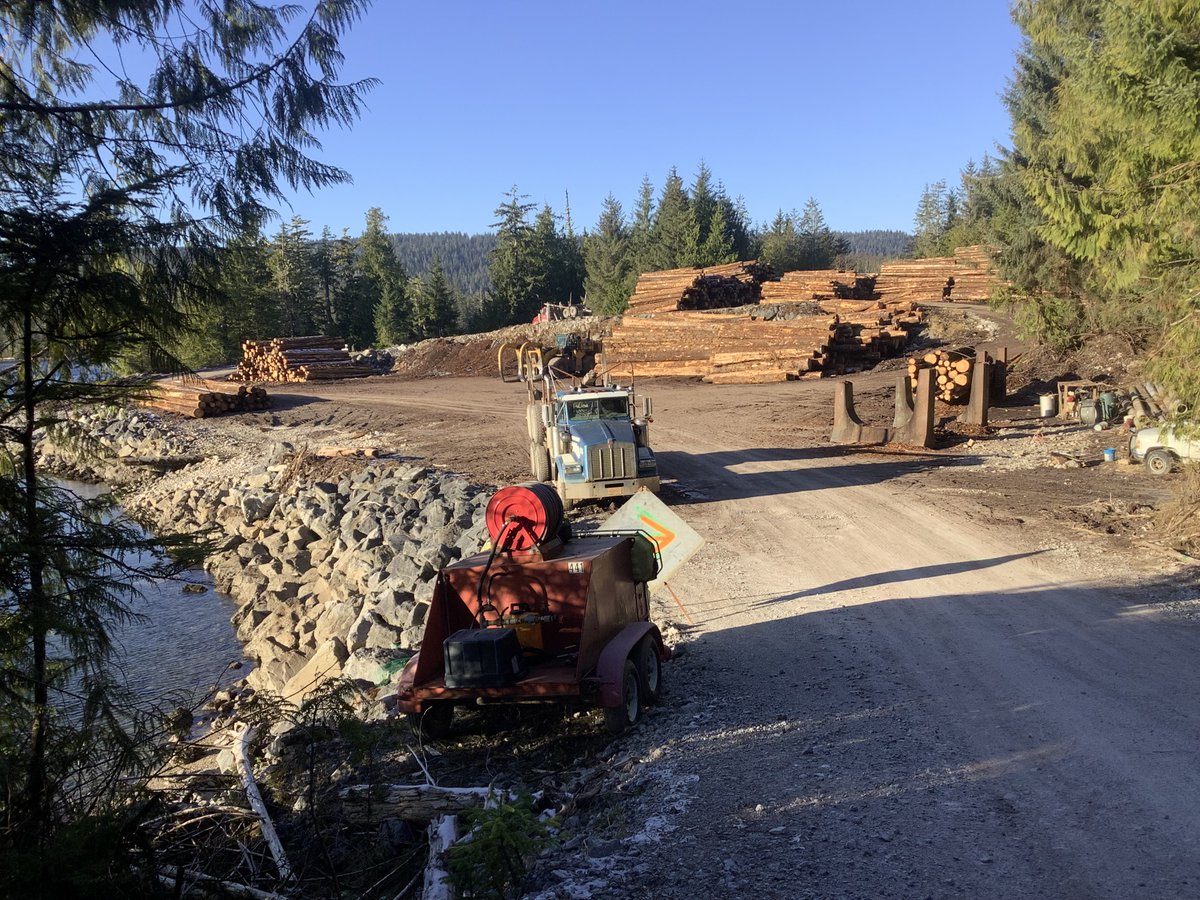 AK_Forestry's tweet image. 🌲 Alaska Timber at Work! 🌲 Log Transfer Facilities are vital to SE AK’s timber industry—where tides &amp;amp; weather impact transport. This sale, harvested by a local contractor, provides year-round jobs for Prince of Wales &amp;amp; Edna Bay residents.

#AlaskaForestry #SustainableLogging