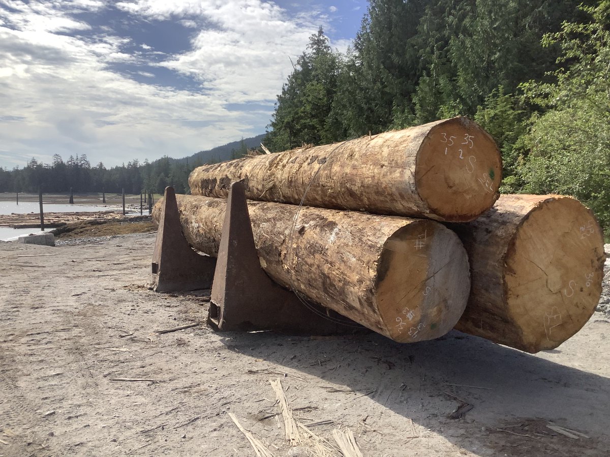 AK_Forestry's tweet image. 🌲 Alaska Timber at Work! 🌲 Log Transfer Facilities are vital to SE AK’s timber industry—where tides &amp;amp; weather impact transport. This sale, harvested by a local contractor, provides year-round jobs for Prince of Wales &amp;amp; Edna Bay residents.

#AlaskaForestry #SustainableLogging