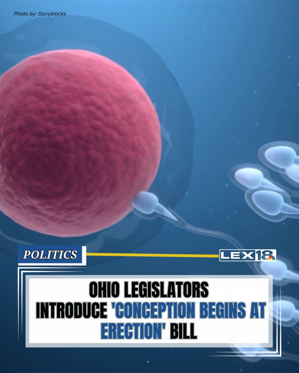 LEX 18 News tweet media