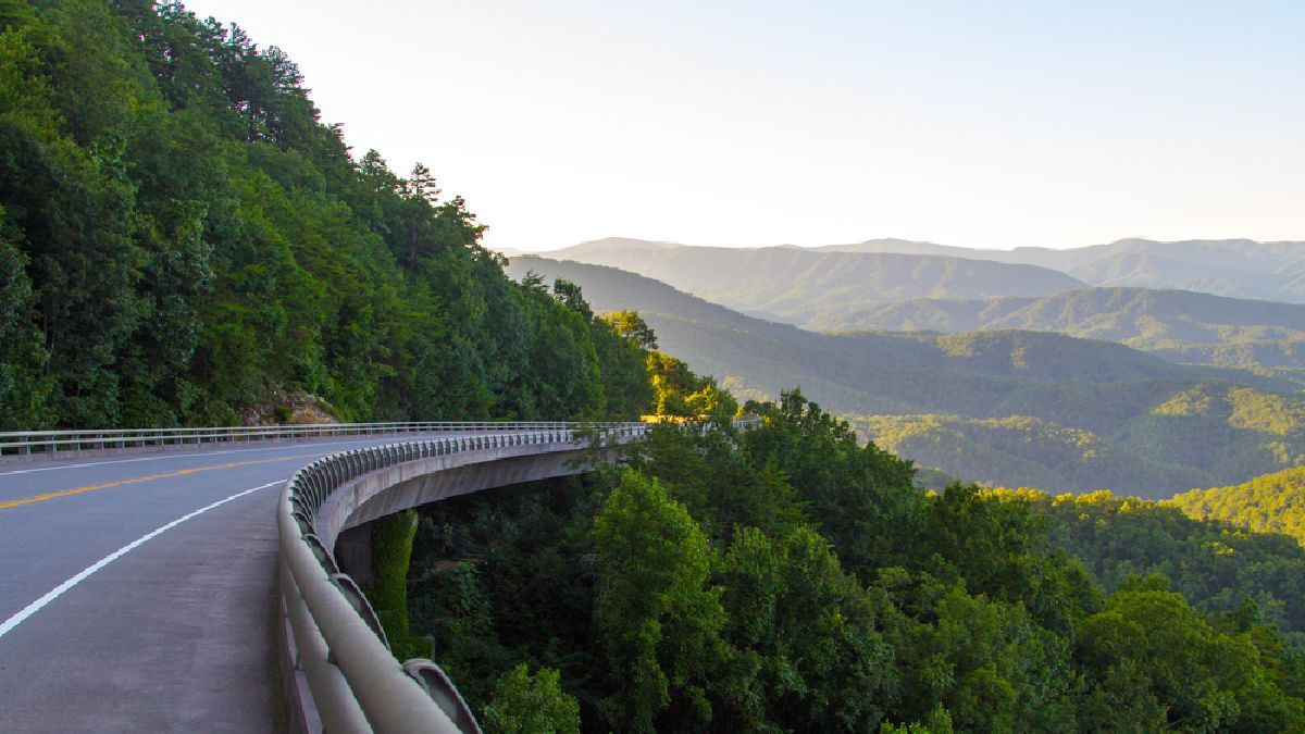 AutoSlash tweet media