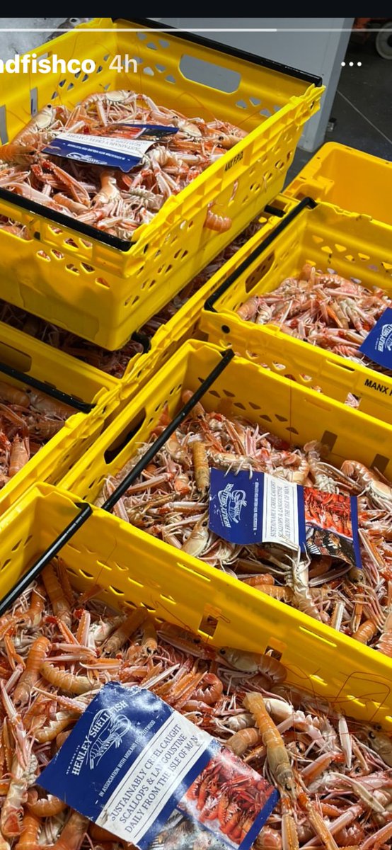 King Neptune'sFishCo tweet media