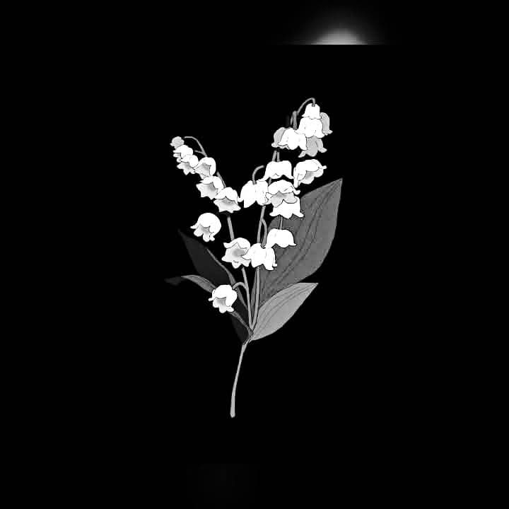 دنیا کا سب سے بدقسمت انسان وہ ہے جس کی یادداشت مضبوط اور دل نرم ہو ...!!!🖤