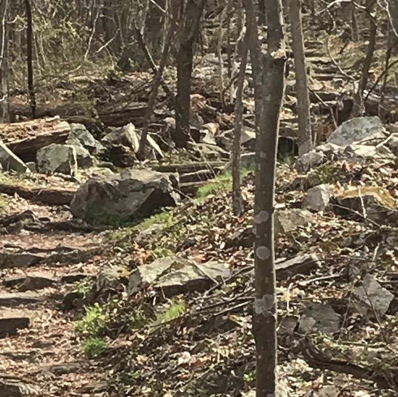 Joe Choice (@jchoice33371) on Twitter photo 