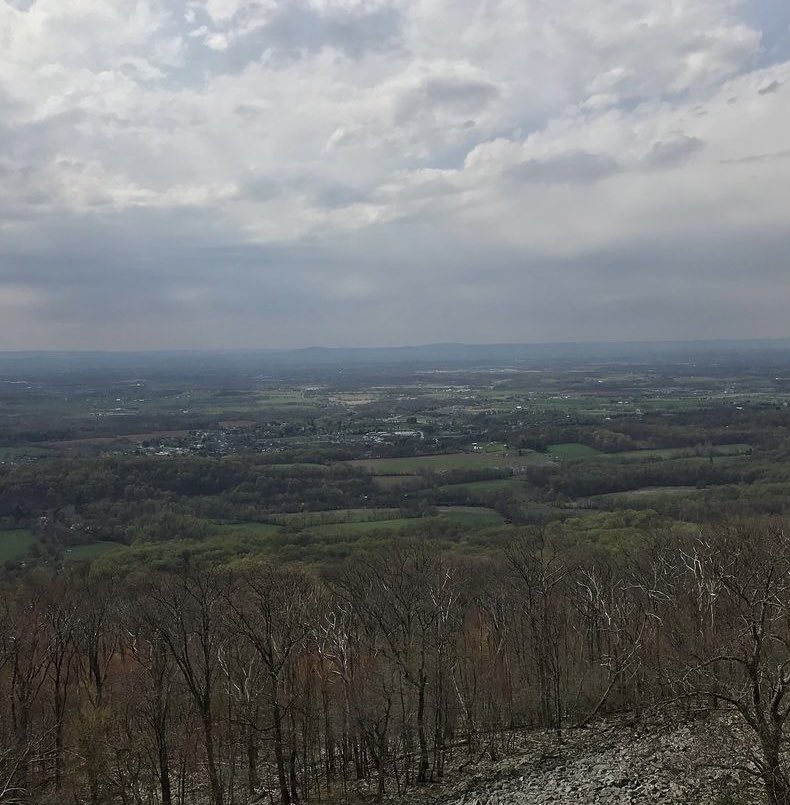 Joe Choice (@jchoice33371) on Twitter photo 