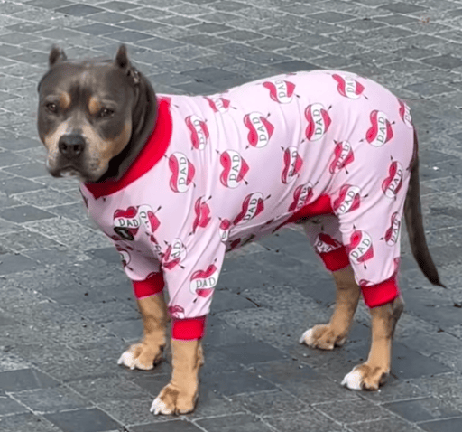 Peacheswifvalentine
ca: EhprDBb297pr8R9jnBfAKtorf3Y3xZLrMjqY96qApump